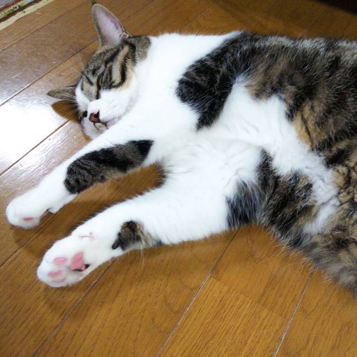 1ef622ee 27e7 4e6a 954b fca52f16ef60 1633000924835