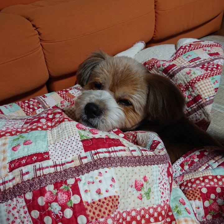 1ef6354c d819 4178 9bba e08651e32dbe 1597926504863