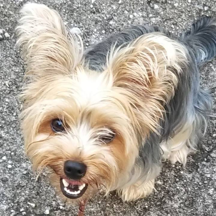 1ef66a7d 2473 4ce2 8556 e173e13e68a5 1564361093563