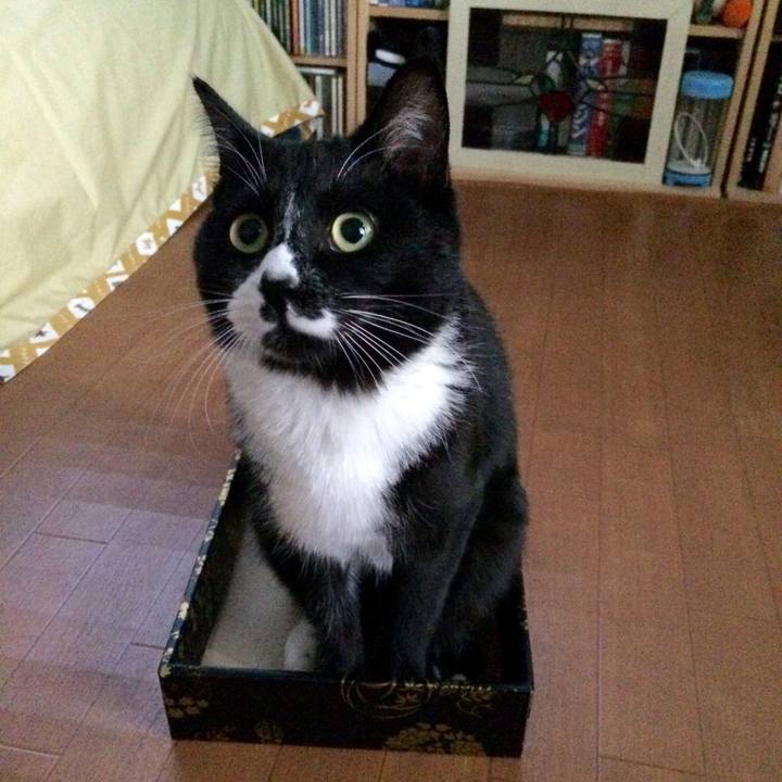 1ef6863e 64f9 46cd 996d d18037f0a4f1 1514173389468