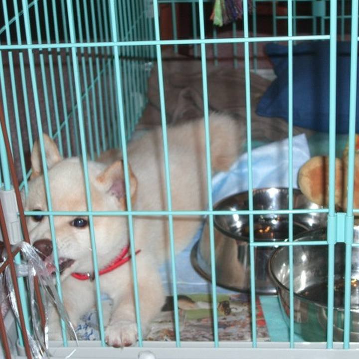 1ef6ffeb 7e8d 419d b200 f11d5f62410e 1639646525295