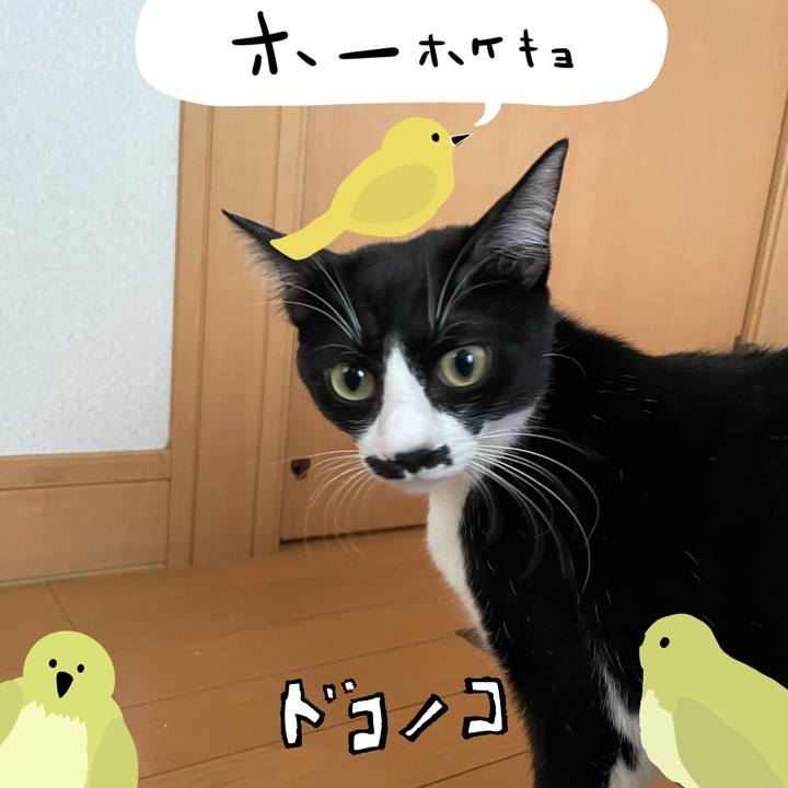 1ef7324b 87ef 48d2 89e4 92fbe6df9df3 1711028623539