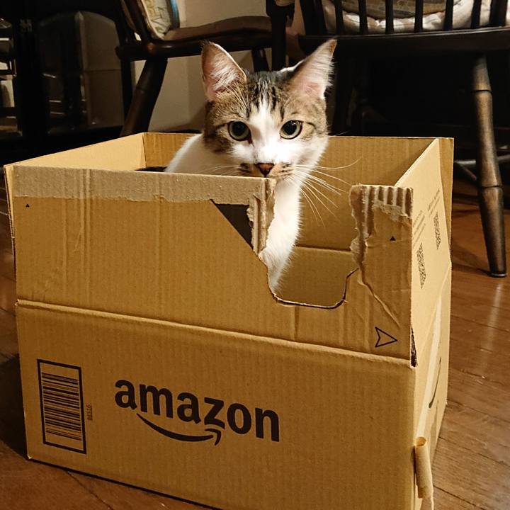 1ef778f2 c8c7 4063 a1fd 9364aa6d443c 1636557631818