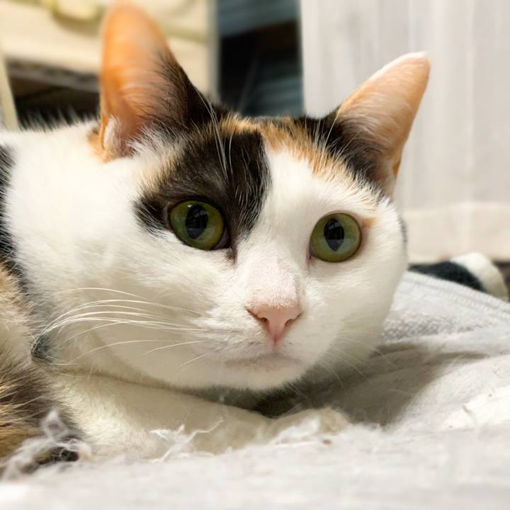 1ef78130 cbde 4a66 bfca 863997eb5aea 1579918008192