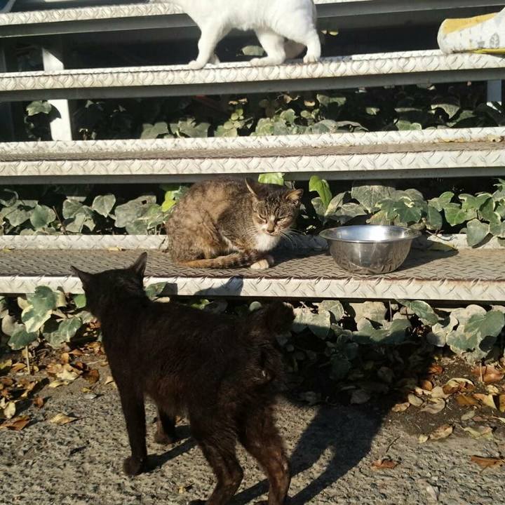 1ef7ab7e 4223 4488 8a33 bb88d8a40170 1510884958293