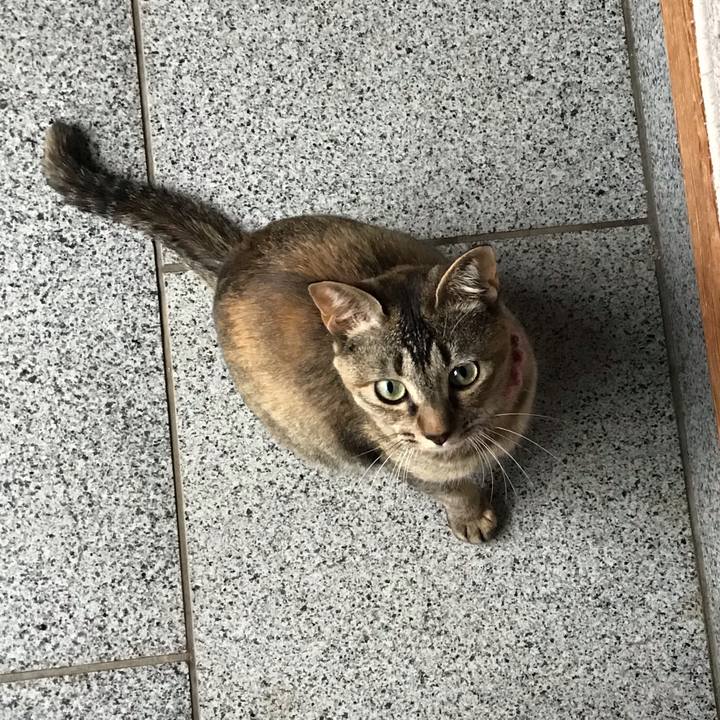 1ef7eaf2 9bbb 4f0e 8468 0312209d387b 1592461216211