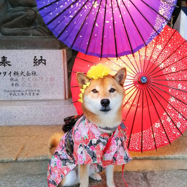 1ef84bcb 6b4a 4d05 b296 40c89b4fa764 1605425310289