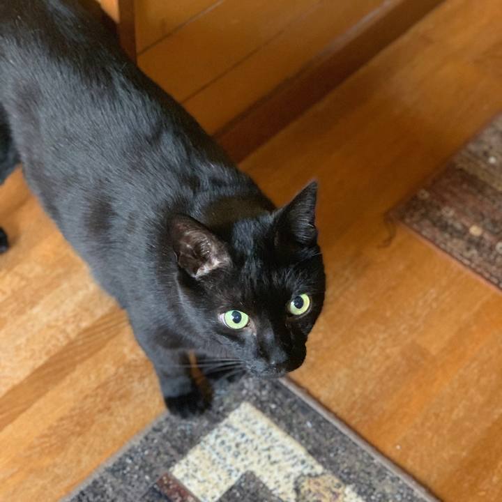 1ef851c5 0100 408d a4c3 c491445740b1 1558747123155