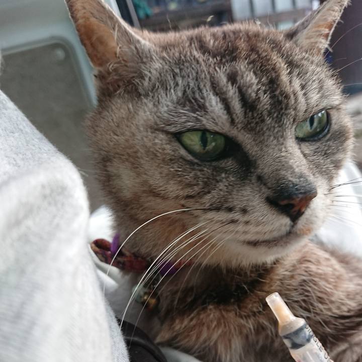 1ef86085 61b3 4bec 94c8 073694f58c42 1595797220282