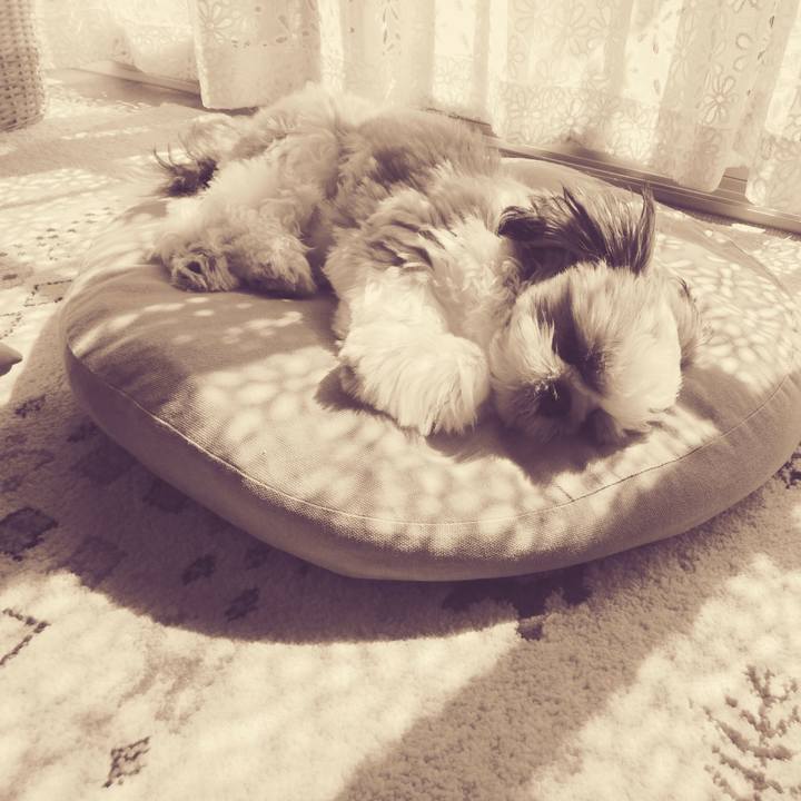 1ef87fc3 e295 4ac2 9050 4efa3aeb73e5 1538109046187