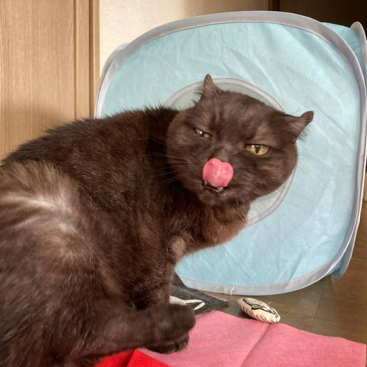 1ef89ad3 77be 45a3 92e3 2a37a6c6f7f2 1592701822196