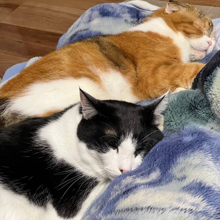 1ef8dd84 c549 4ea0 8feb 33fe7884c953 1762163732540