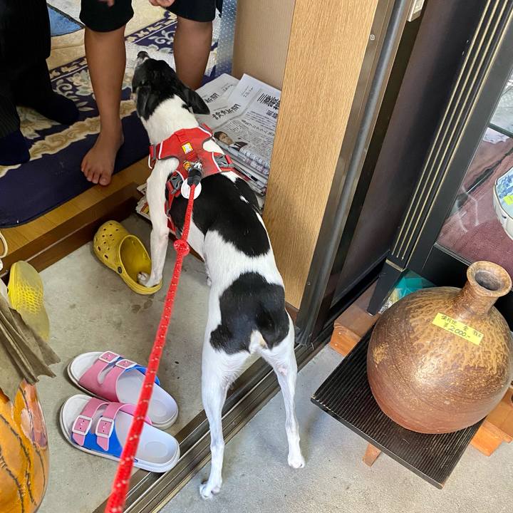 1ef8eaef 0267 48bc b459 6e643bf93c8f 1626091854751