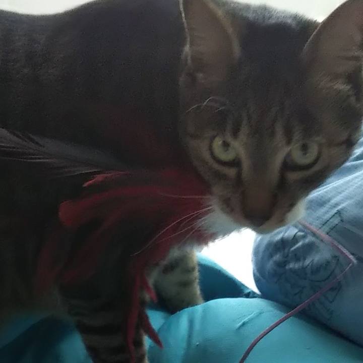 1ef8f141 d75d 4aa8 9452 9026af50e884 1622968184579