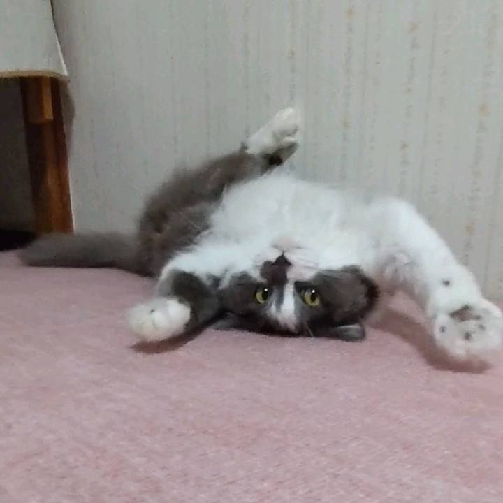 1ef9144d ae47 4069 bb7a aee59cfd0291 1694001453069