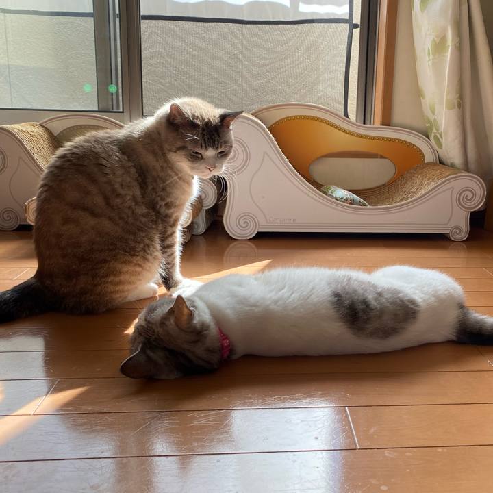 1ef939a3 3e55 426b 8bda 6a496703cafb 1635215660737