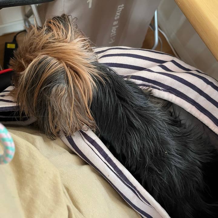 1ef96199 bab9 4508 8a2c 9f92fb00633f 1694757225626