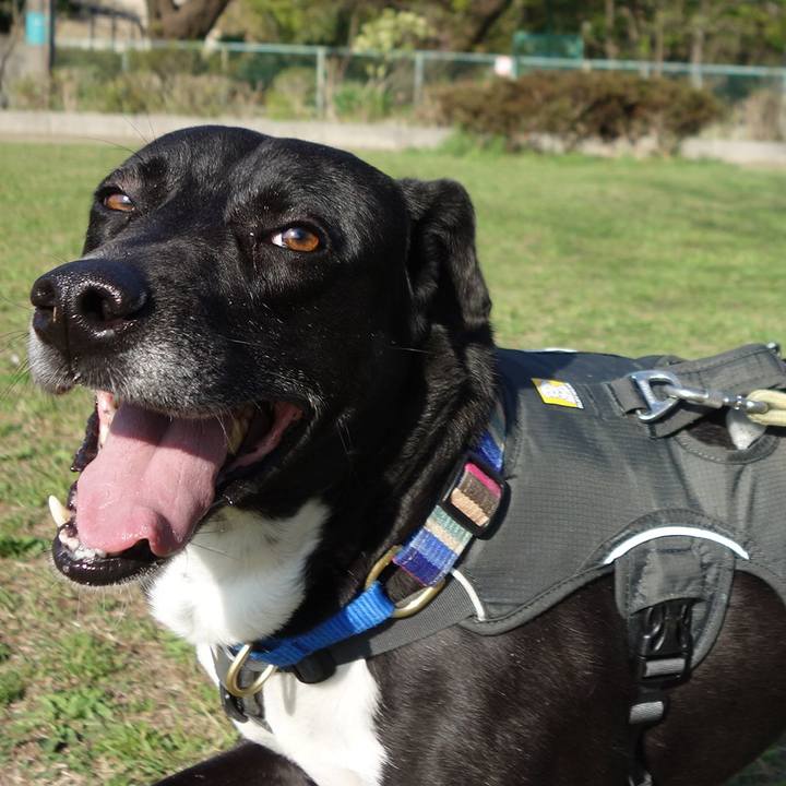 1ef972e7 7604 4aa4 aaf2 3b429a8f6cab 1649465256206