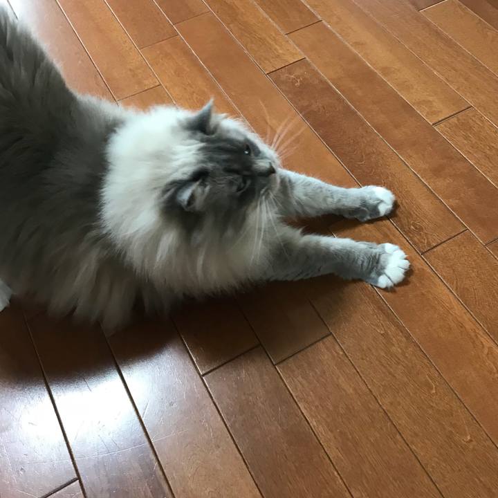 1ef9773b 00ee 4c1a b1c8 74f8f1e9830b 1522937249591