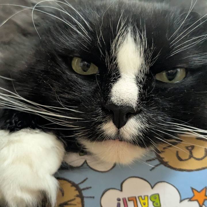 1ef98636 db2a 4701 9ba8 dd1aa3165fe9 1773833002469