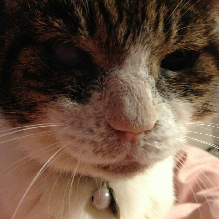 1ef99dbb 3a46 4e9b 97a7 5d2f33b2bf21 1588285520130