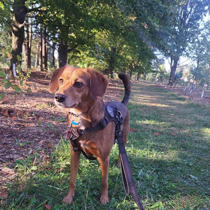 1ef9b5b2 b896 4720 9946 bc03b450abaa 1758288185220