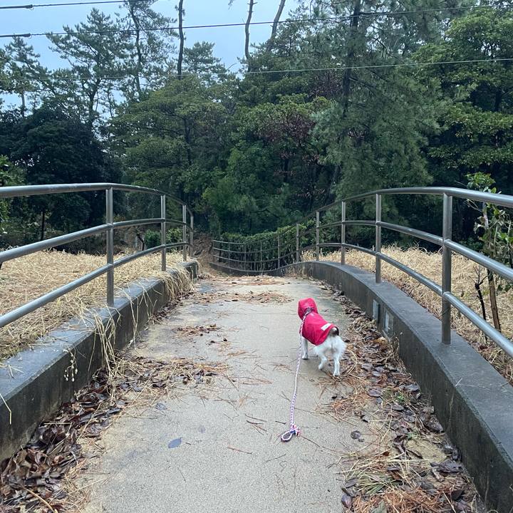 1ef9d5d4 4946 45ad bbba bb8d8d759f04 1766615932085