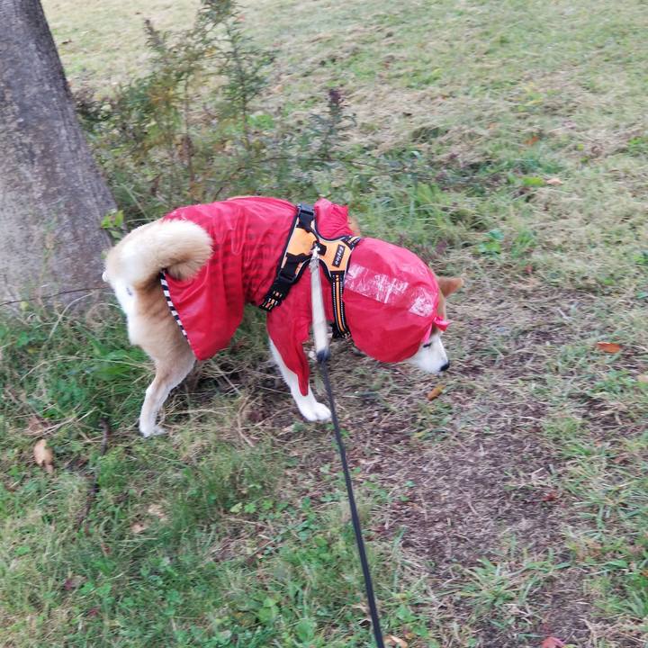 1efa0d85 e147 4544 932a c8dd04e9e4ca 1667281377737