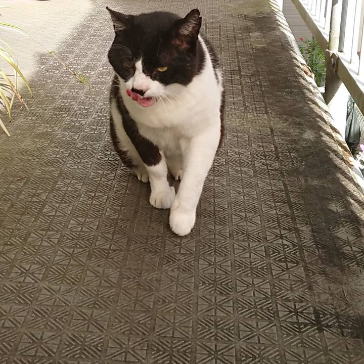 1efa1819 fc77 4420 8df9 6957bd8c44d8 1595810121601