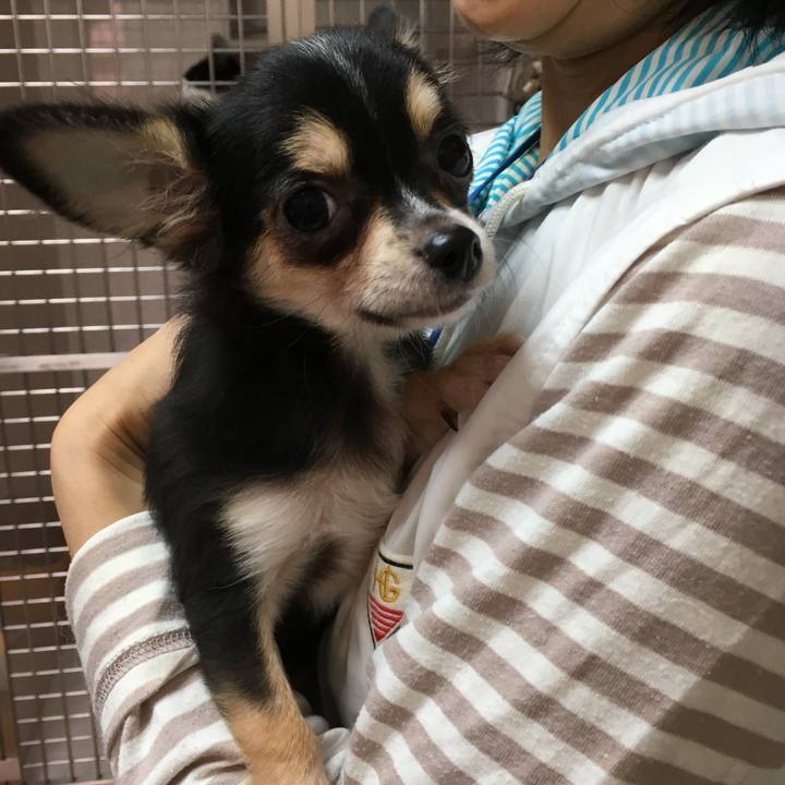 1efa46d9 1a58 401b bba5 66ce67ea147c 1541045284329