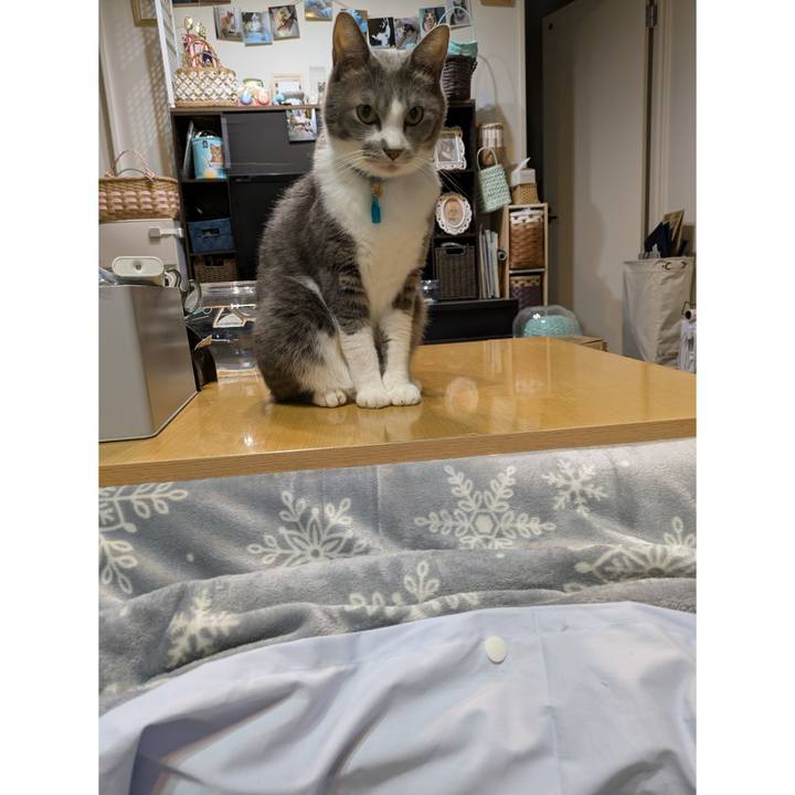 1efa70fa 9d23 4d75 ad07 11b839a50694 1731224499266