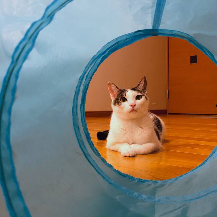 1efa8edb 4816 416a aa9d e90bf99e88f3 1600431236767