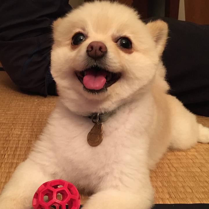 1efaa422 b841 4919 ab86 f260766dd9b0 1594550457190