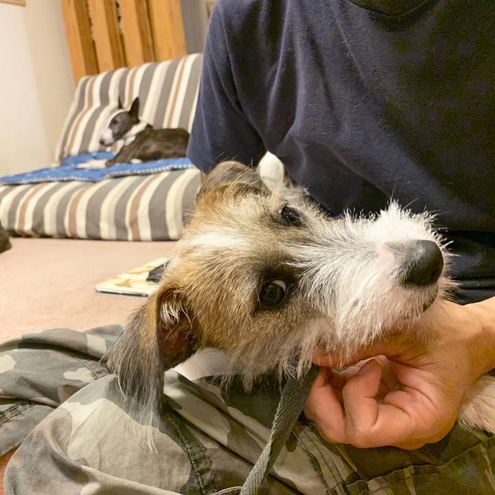 1efaa603 8d51 442f a106 07ff28e5a7aa 1566932759412