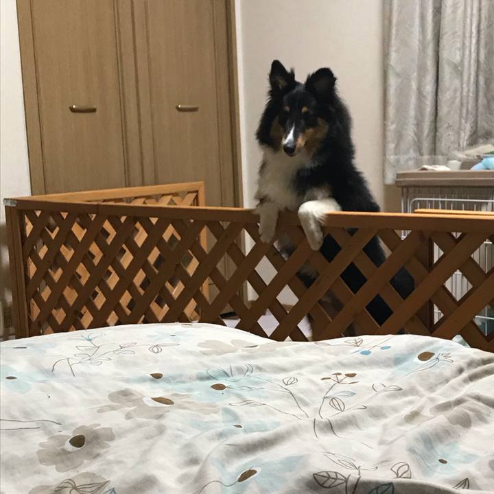 1efab9ef 4128 4c14 9e96 d993c7da77d7 1528496092088