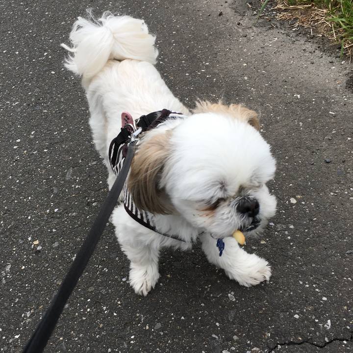 1efac192 dc96 49c1 a4ed 4d232e1cfa8e 1555828558333