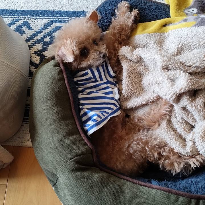 1efacd20 aa9f 4768 ab76 f8eafb732227 1684039608368