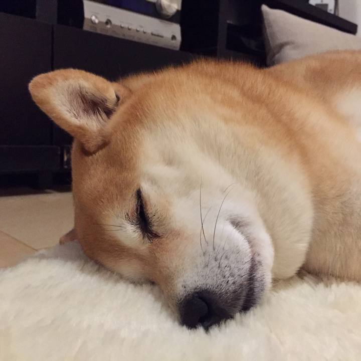 1efb237c 8571 4b02 91eb 02f44116ab7d 1579416426689