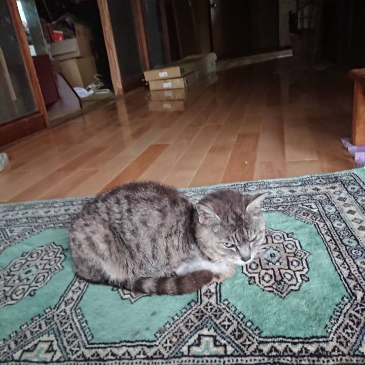 1efb535b 930e 4a84 a4b8 4cada9e1e846 1596922852915