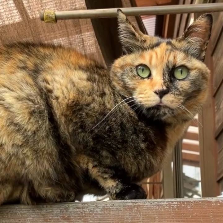 1efb6a81 b2b1 49fa 83e9 cf0fbfbba7ef 1742090535509