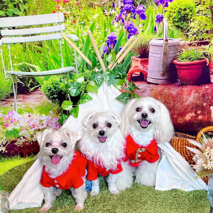 1efb86cb 4834 4bd0 8af5 b55875127881 1699530482242