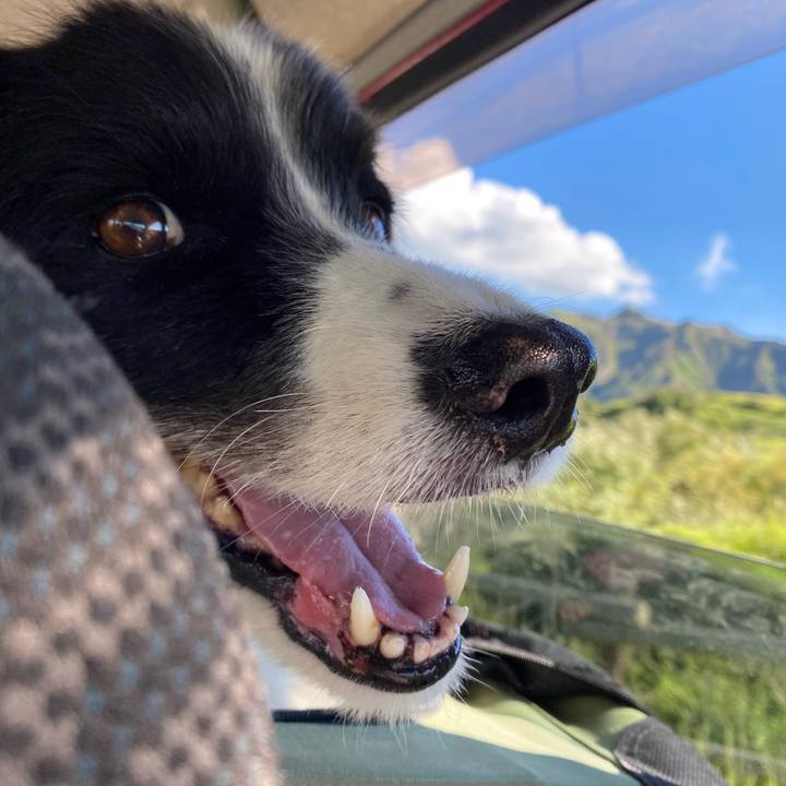 1efb961b 4a11 4ff1 843d 6a61a6230695 1726400517993