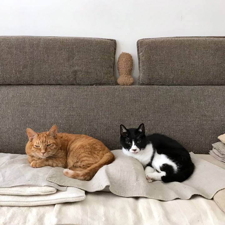 1efbc99b 5a53 495d bda1 18ea6d9bdc94 1559526051446