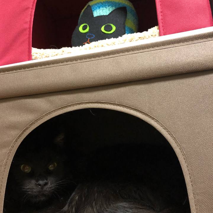 1efbedcd 845c 479d aad6 59f8560704a0 1583768325280