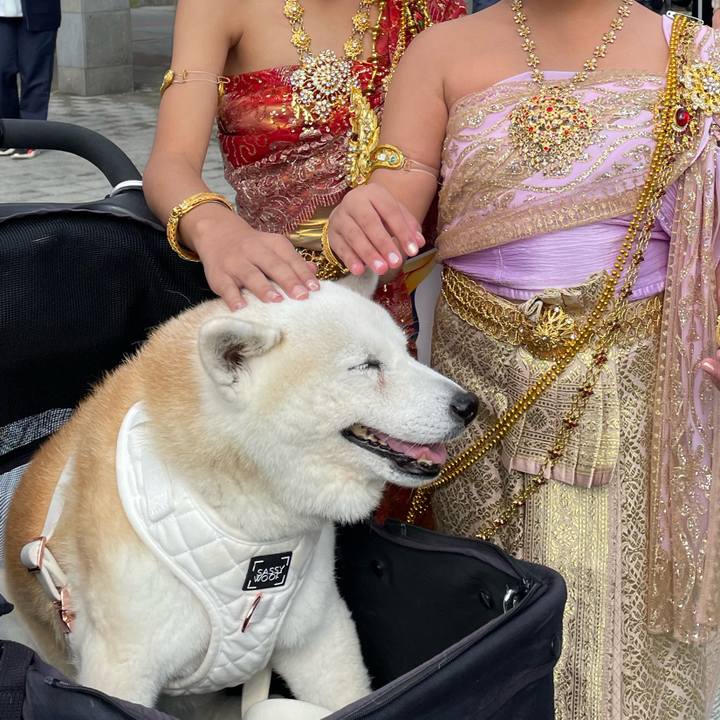 1efbf34b daa9 4fb8 a277 66d3640ce776 1697447921298