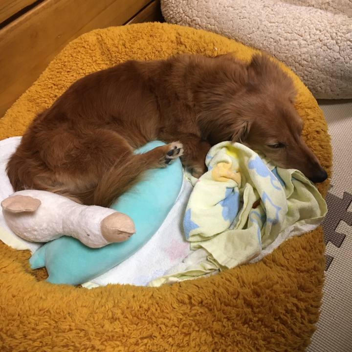 1efc68b8 1563 41d9 bd60 94531002dcd6 1617886618601