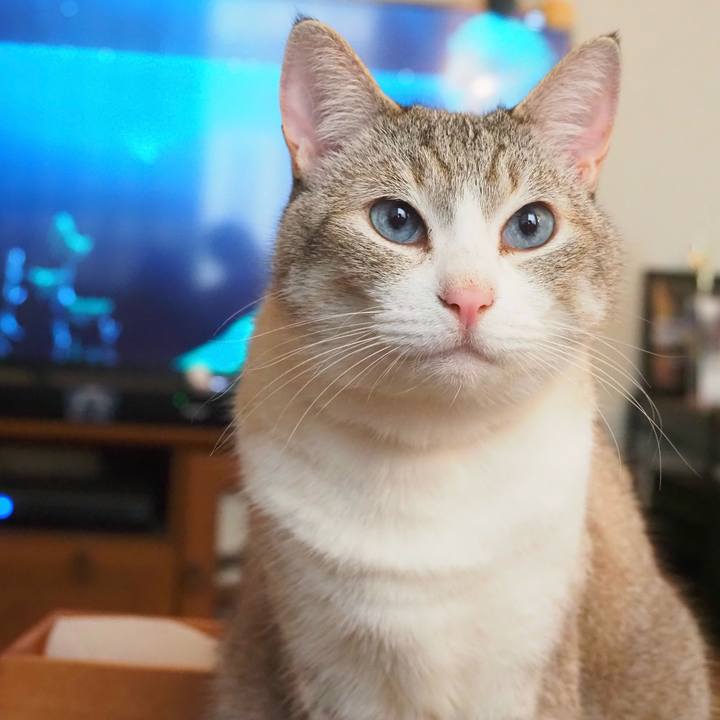 1efc7555 9e1b 4e40 ba24 cfead8f79d0b 1747626257975