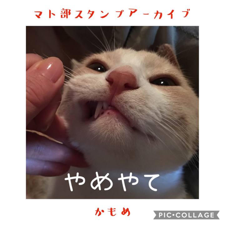 1efc8265 191e 40f9 8437 201b1a5a01e2 1578744102848