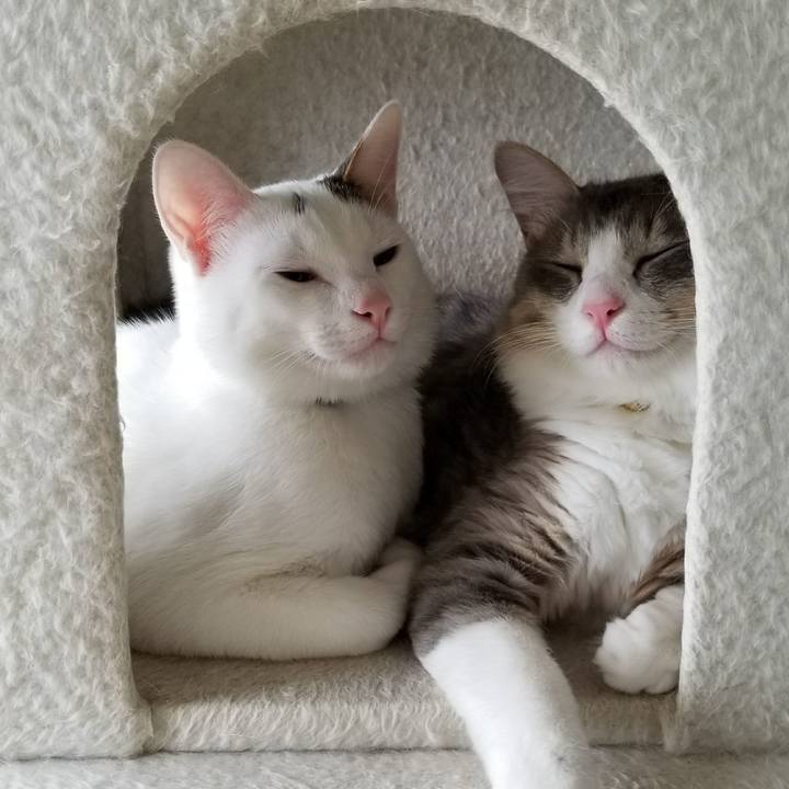 1efc8886 2161 4687 94c4 b4342acb563d 1516683804557