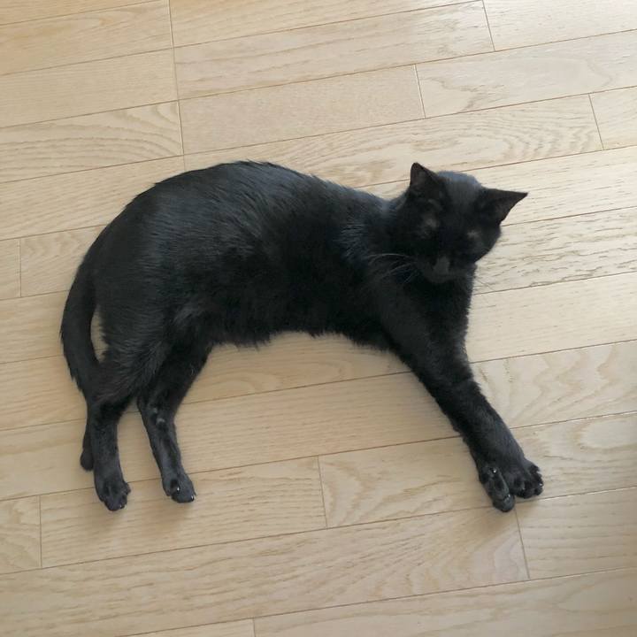 1efce13f afa6 4b54 ae2f f49e18ea83e7 1637063979419